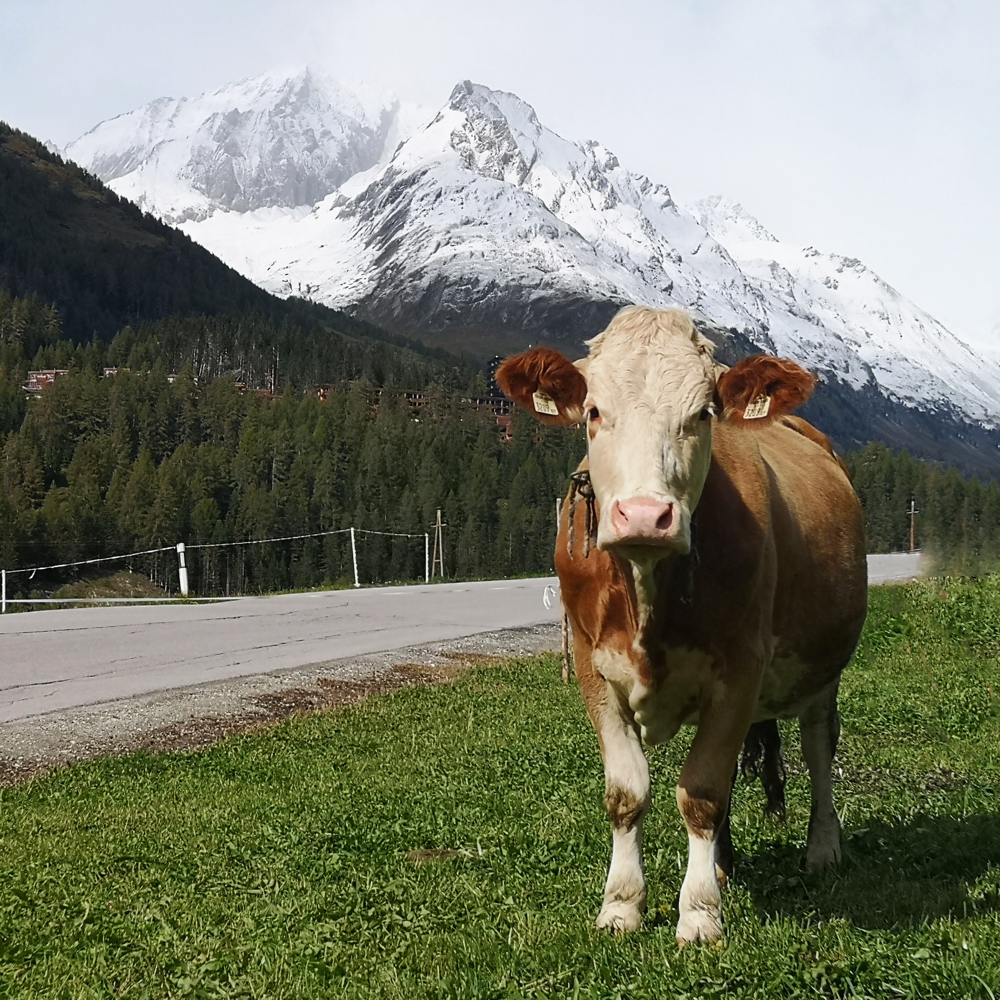 Road trip in Austria